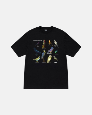 Black Stussy California Birds Tee | NHWMK-2389