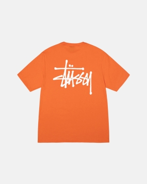 Coral Stussy Basic Tee | JZLSD-2195