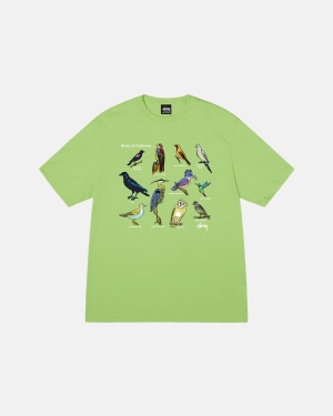 Tea Stussy California Birds Tee | JWKHM-9085