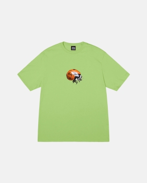 Tea Stussy Ladybug Tee | RSGDF-3689