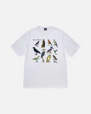 White Stussy California Birds Tee | TNCYO-0918